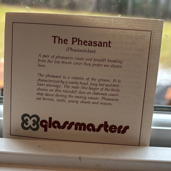 GLASS ART WINDOW STAIN GLASS- LIKE HANGING - Picture 2 of 11